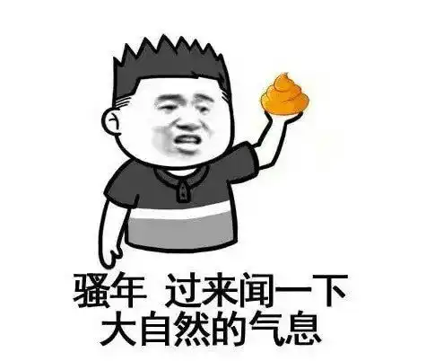 聊天再有人发呵呵,用这些表情包怼他,小样儿再发一个试试
