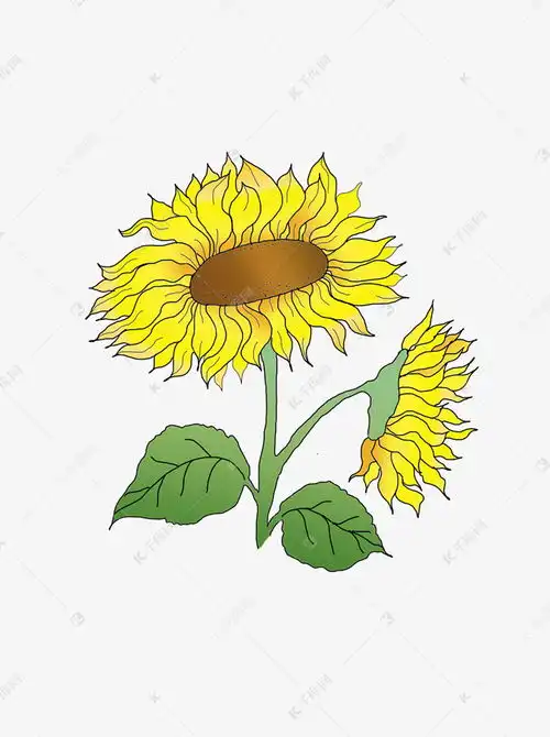 表情向日葵风向日葵花可商用元素素材图片免费下载千库网表情
