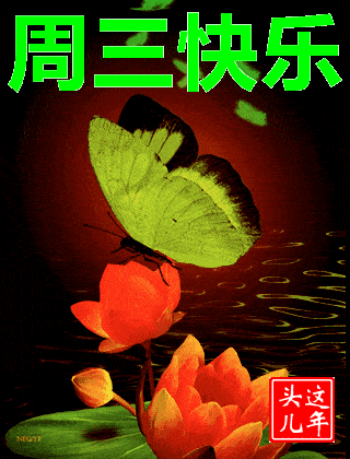 10月21日周三清晨早上好问候祝福动态表情图片10月最新早安问候祝福图片带字温馨
