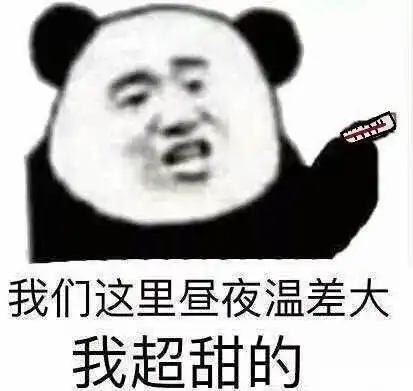 今天的白露在热搜沸了
