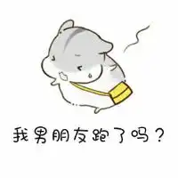 仓鼠夫妻表情包卖萌可爱仓鼠夫妻之男朋友去哪了
