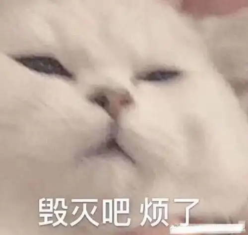 哈哈哈哈哈哈哈笑死我了笑死我了
