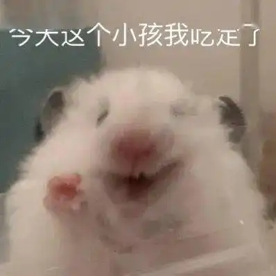 最近迷上仓鼠表情包
