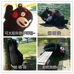 雨露均沾是个啥就这样被玩坏了......
