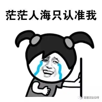 它们常在我耳边嗡嗡,要和我成为朋友
