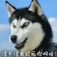当金刚狼遇到哈士奇,没有对比就没有伤害
