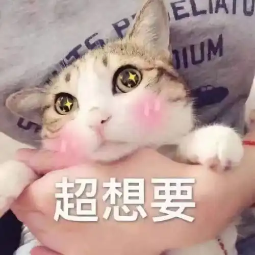曝光12对情侣聊天新套路,最后那条让我笑到喷饭
