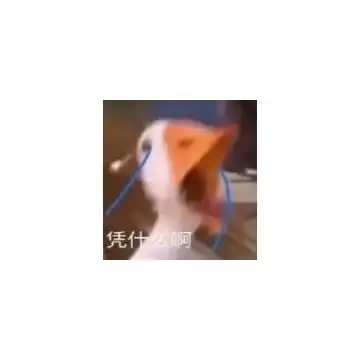 图片头像表情包
