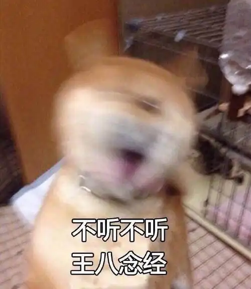 每次逛知乎,都收了好多表情包,来个表情包集合地吧,欢迎大家踊跃投稿不介意的话去掉水印,食用更美味
