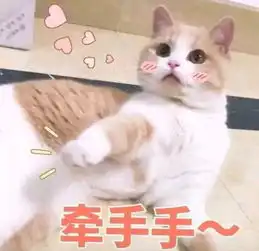 可以牵上手的撩人套路
