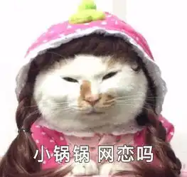 可爱猫咪表情包,萌萌的小仙女最为喜欢,小哥哥都hold不住
