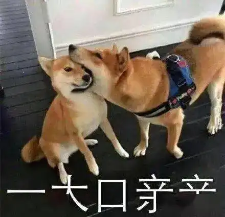 上课通勤必备20只实用又时髦的大容量包包,超能装
