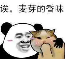 今日份高清沙雕熊猫头表情包
