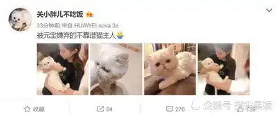关晓彤撸猫晒爱宠萌照,嘟嘴要亲亲反被元宝嫌弃
