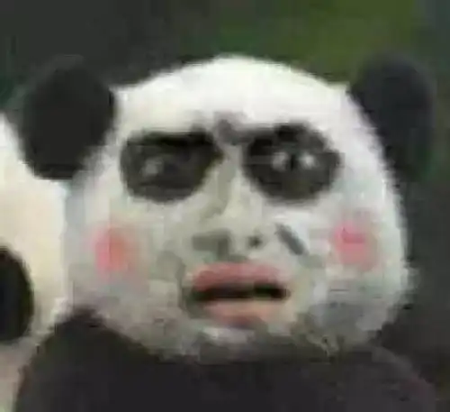 熊猫头像
