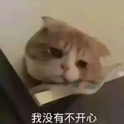 除了风景,火车上的故事也是非常精彩了
