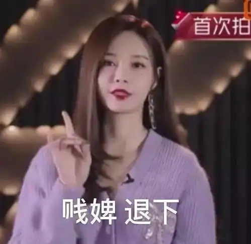 爱豆表情包乘风破浪的姐姐
