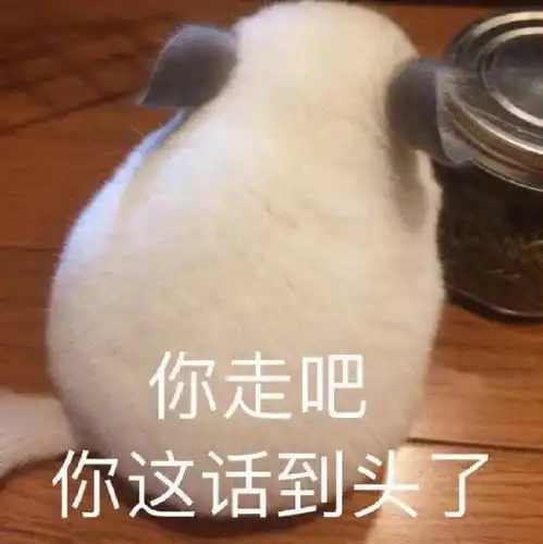 靠大笑飞升的高圆圆竟然悄悄把贴片牙卸了满口黄牙光速跌落凡间...
