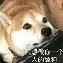 狗中醋王,快来看看谁上榜了
