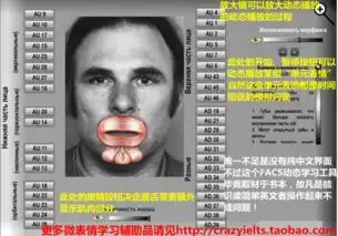微表情训练图谱或者微表情训练工具还有吗可以发我吗谢谢邮箱zwgsb123163.com谢谢
