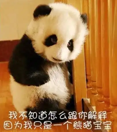 招募大熊猫保护清明小长假,来把滚滚做成表情包吧

