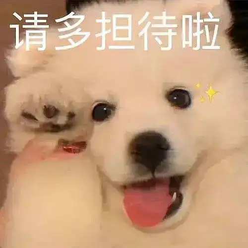 我的收藏
