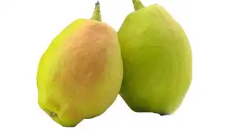 有来医生
