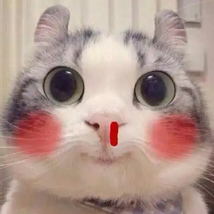 猫咪指人表情包指人猫咪表情
