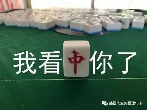 麻将生活我喝西北风了
