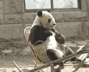 搞笑gif趣图兄弟你这个吹法已经吹出了你人生的巅峰
