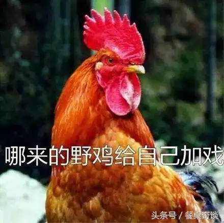 土豆炖鸡,就是最过瘾的那个土豆炖鸡附鸡肉去腥几大招
