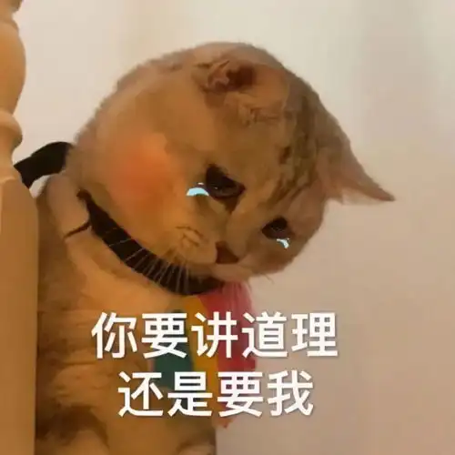 表情包男生女生都适合用

