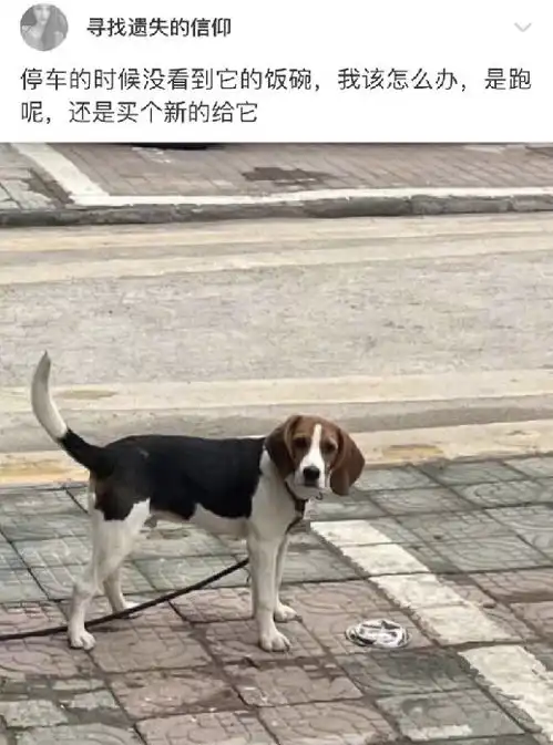富婆的快乐,应该就这么简单吧哈哈哈哈哈要是真人就好了
