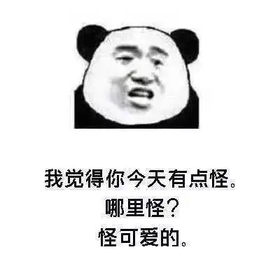 搞笑表情包头像,可做头像也可斗图专用
