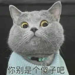 猫和狗有没有表情有的话可以以照片的形式展示一下吗

