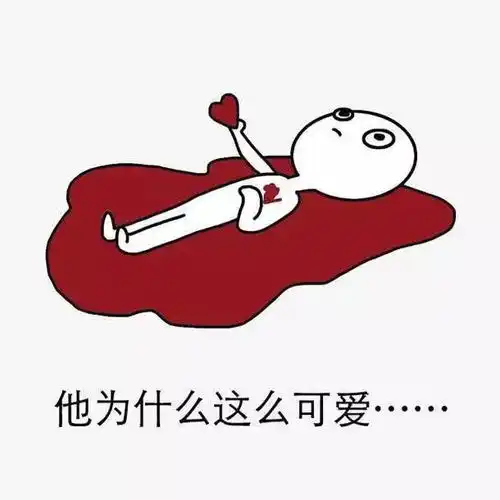 噼里啪啦不想追星想追你
