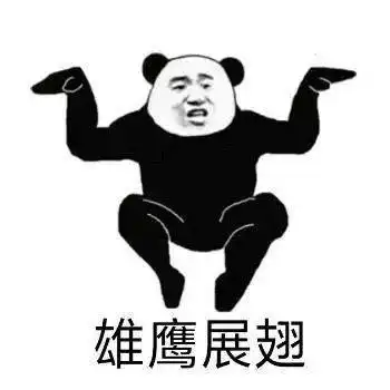 熊猫头表情包i我一巴掌拍你脸上
