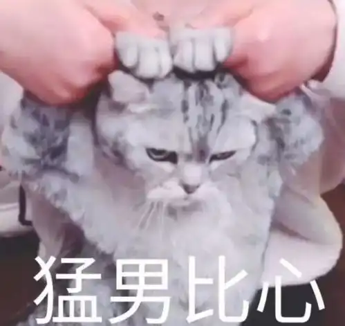 或许铲屎官们没有听过pica,但几乎每只猫咪身上都会出现
