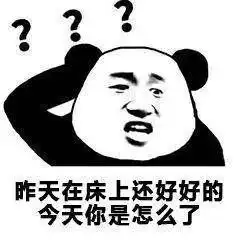 男上加男
