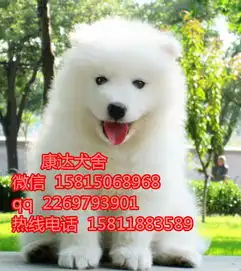 东莞哪里有卖狗东莞萨摩耶犬东莞哪里有卖萨摩耶
