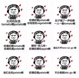 今年的四六级神翻译承包了我一年的笑点,笑到颤抖
