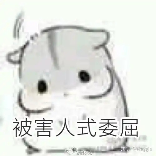 你为什么选择了当初学习的专业
