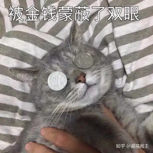 宠物医疗保险哪家强
