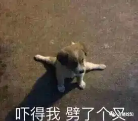 绵阳一周大小事
