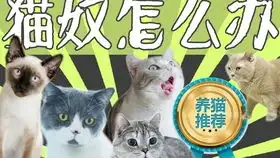 狗狗知道自己的孩子将要被卖掉,那表情简直让人心碎
