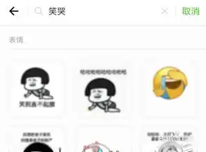 新版微信搜一搜功能,快速搜索发送表情
