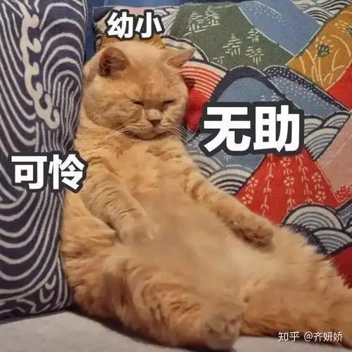 你会喜欢上那个陪你打王者荣耀的男生吗
