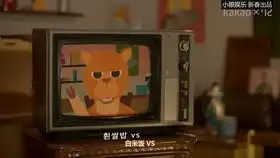 momoland人体维生素jooe的采访d社
