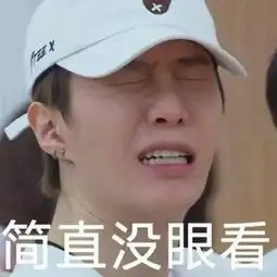 重庆游记
