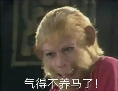 表情包猴哥也是个行走的表情包
